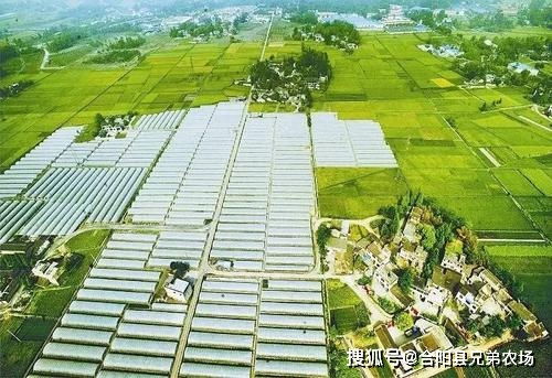 打造農(nóng)業(yè)發(fā)展新動能 2020江西省農(nóng)業(yè)發(fā)展大會側(cè)記