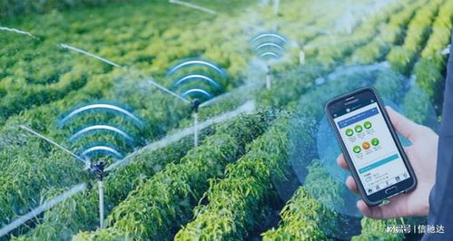 無線物聯(lián)助力農(nóng)業(yè)灌溉系統(tǒng)智能化