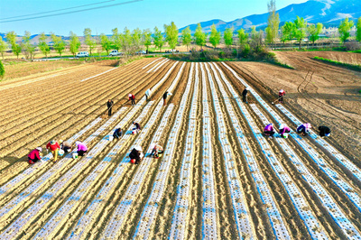 不負農時鬧春忙