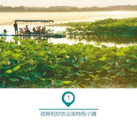 行業(yè)淺析︱農(nóng)業(yè)特色小鎮(zhèn)的內(nèi)涵