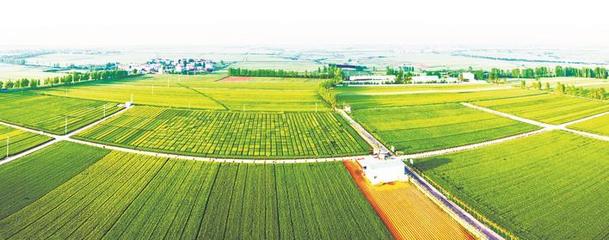 鳳鳴襄州 邁向農(nóng)業(yè)新高地