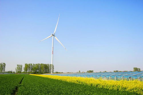 臨邑臨南鎮(zhèn) 傾力發(fā)展智慧農業(yè),打造番茄特色小鎮(zhèn)