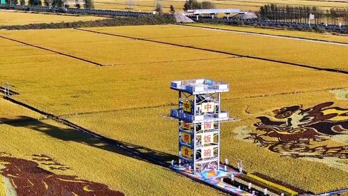 數(shù)說新中國75年 農業(yè)發(fā)展闊步前行 現(xiàn)代農業(yè)譜寫新篇