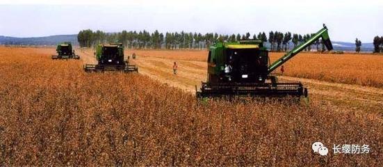 俄當局向中國提供100萬公頃遠東地區(qū)土地用于農業(yè)開發(fā)