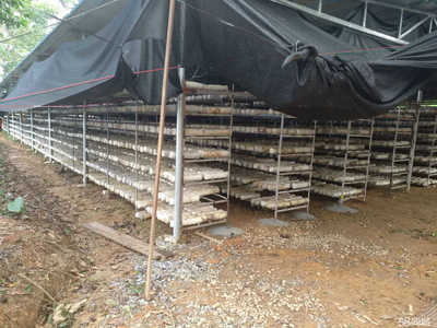 海南中民健農(nóng)業(yè)發(fā)展