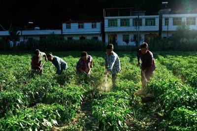 竹溪縣天寶鄉(xiāng),無限風(fēng)光在&ldquo;大峽&rdquo;