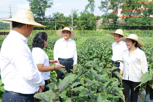 徐麟到省農業(yè)科學院調研 馬漢成參加
