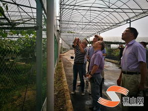 我區(qū)迎來創(chuàng)建 省級農產品質量安全放心縣 工作考評檢查