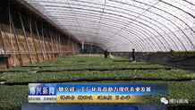 耿文祥 工廠化育苗 助力現(xiàn)代農業(yè)發(fā)展