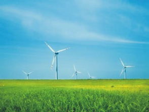 2017年農(nóng)業(yè)發(fā)展怎么走 國家推進(jìn)農(nóng)業(yè)品牌化