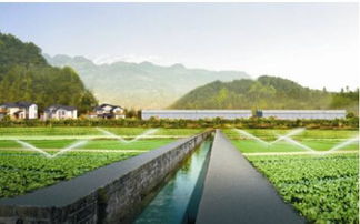 生態農業成發展趨勢，武漢龜谷公司專業規劃服務受青睞