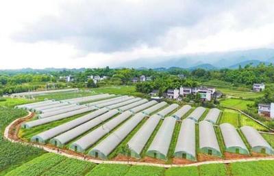 璧山 培育農業新業態，城鄉融合書新卷