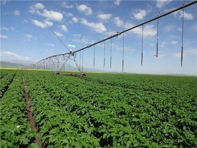 有機(jī)農(nóng)業(yè)種植技術(shù)在中國(guó)的發(fā)展與應(yīng)用——以貴州輝煌農(nóng)業(yè)開發(fā)為例