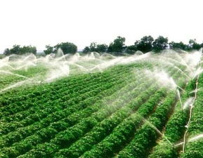 打破“靠天收” 精準(zhǔn)農(nóng)業(yè)引領(lǐng)現(xiàn)代農(nóng)業(yè)發(fā)展新篇章