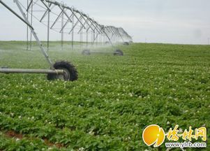 農機補貼精準落地，我市現代農業發展注入新動能