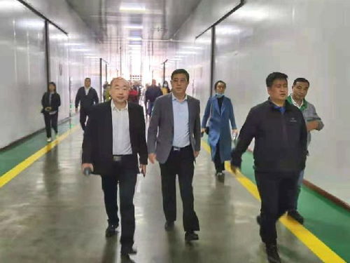 深化南北合作，共拓農業新篇——東莞市河南商會赴黑龍江商務考察紀實