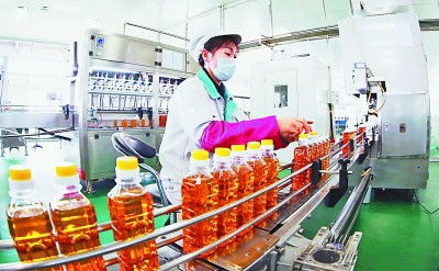 吉林 厚植黑土優勢，賦能農業升級，擘畫現代農業新藍圖