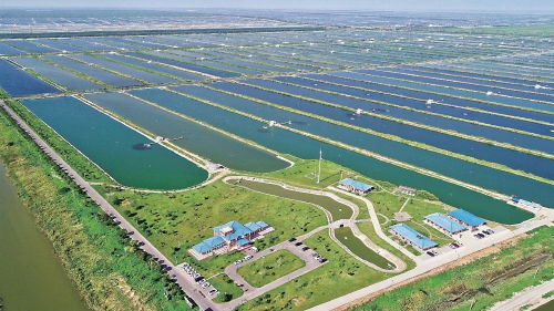 智慧農業浪潮下，農墾如何走在前列，引領農業開發新篇章